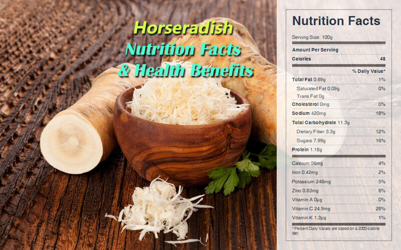 Horseradish Nutrition Facts Health Benefits CookingEggs